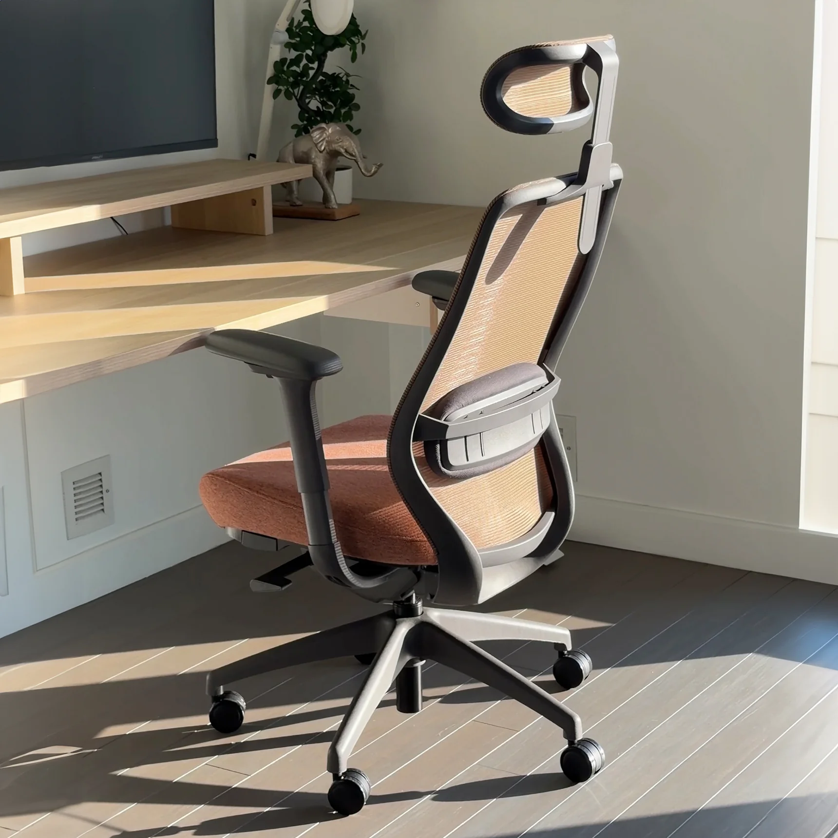 Desky CoilFlex Ergonomic Office Chair - Image 10