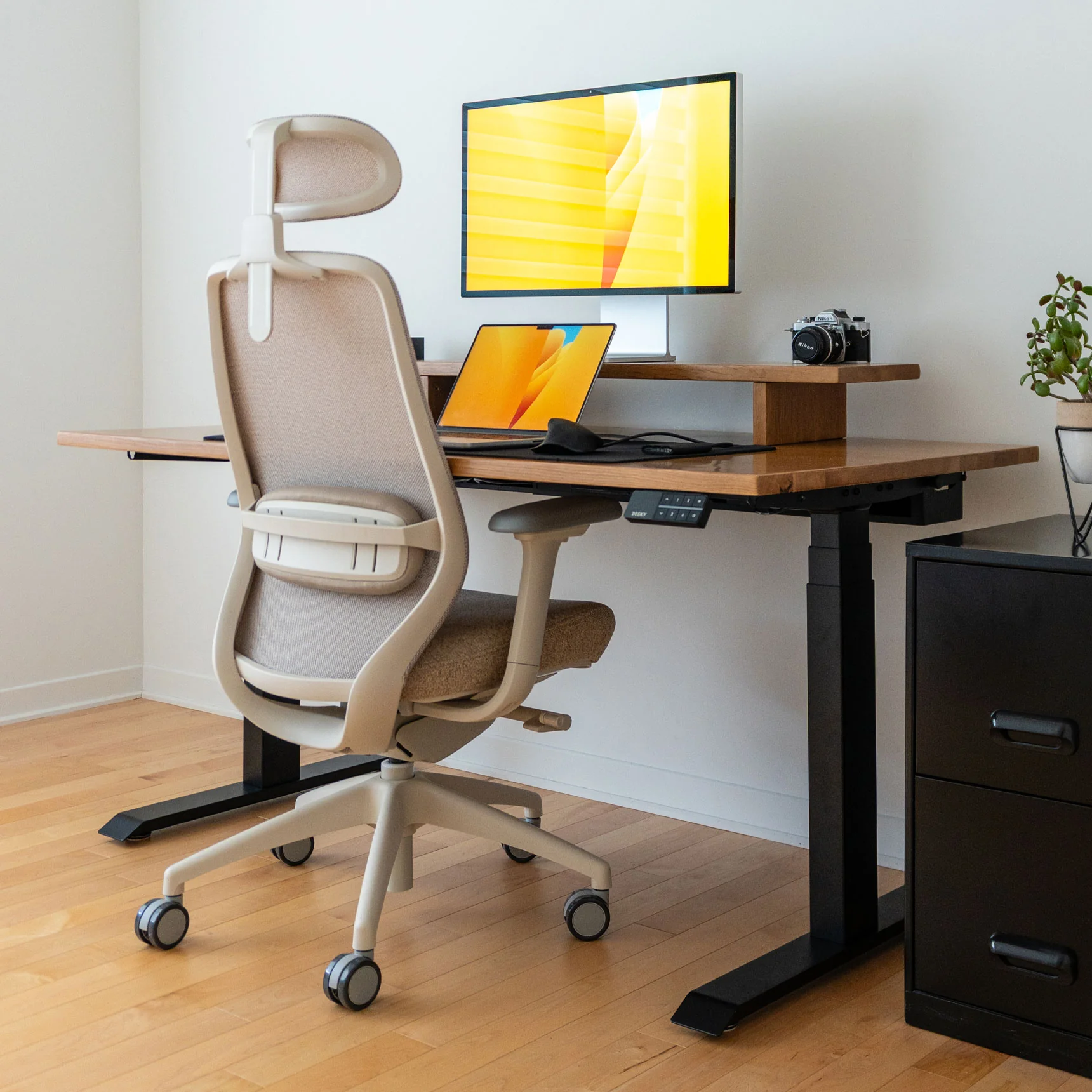 Desky CoilFlex Ergonomic Office Chair - Image 4