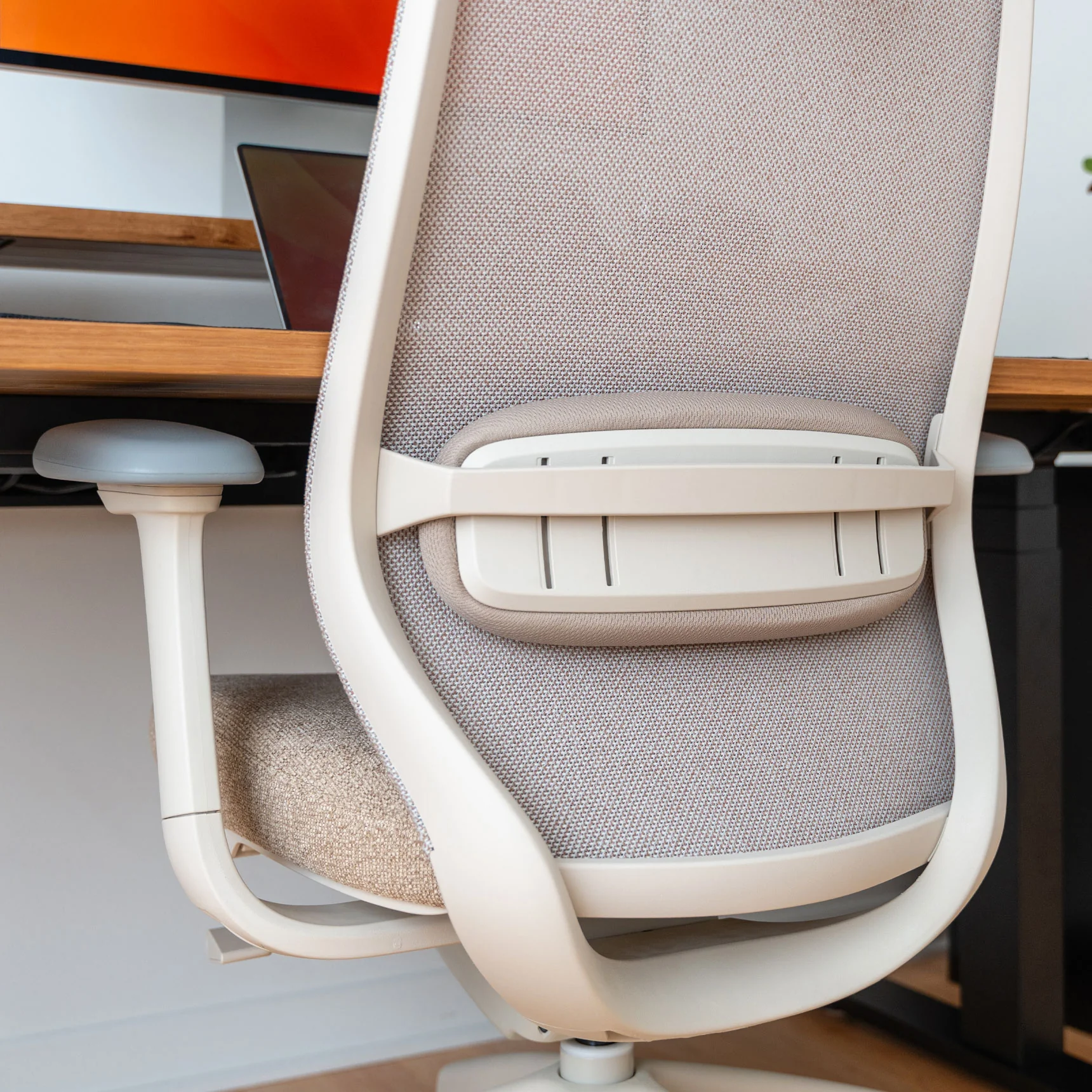 Desky CoilFlex Ergonomic Office Chair - Image 7