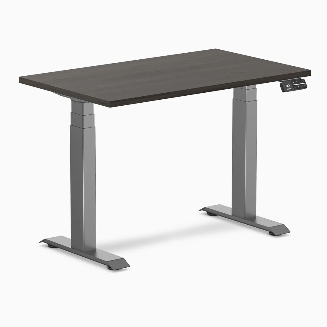 Desky Dual Mini Sit Stand Desk - Image 29