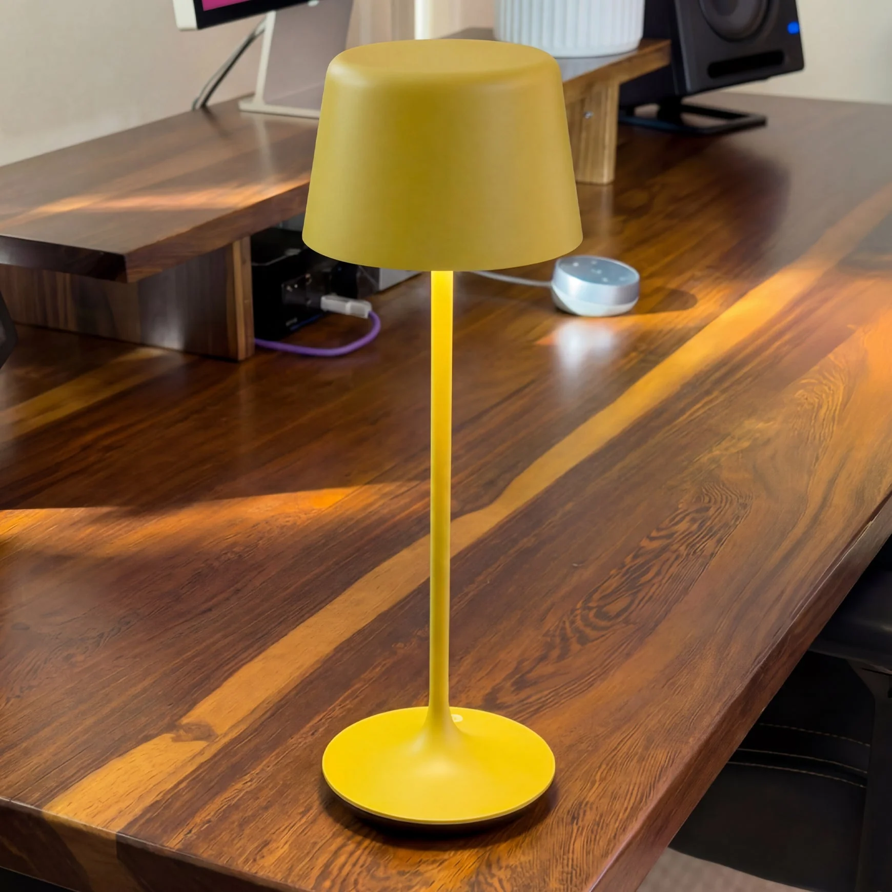 Desky Silhouette Cordless Desk Lamp - Image 7
